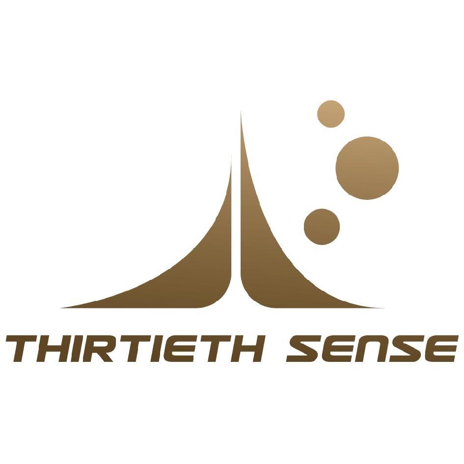 THIRTIETH SENSE及圖