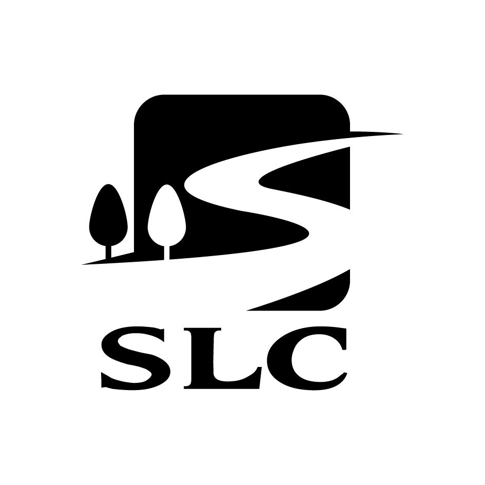 SLC及設計圖
