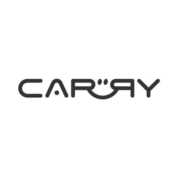 CARRY設計字