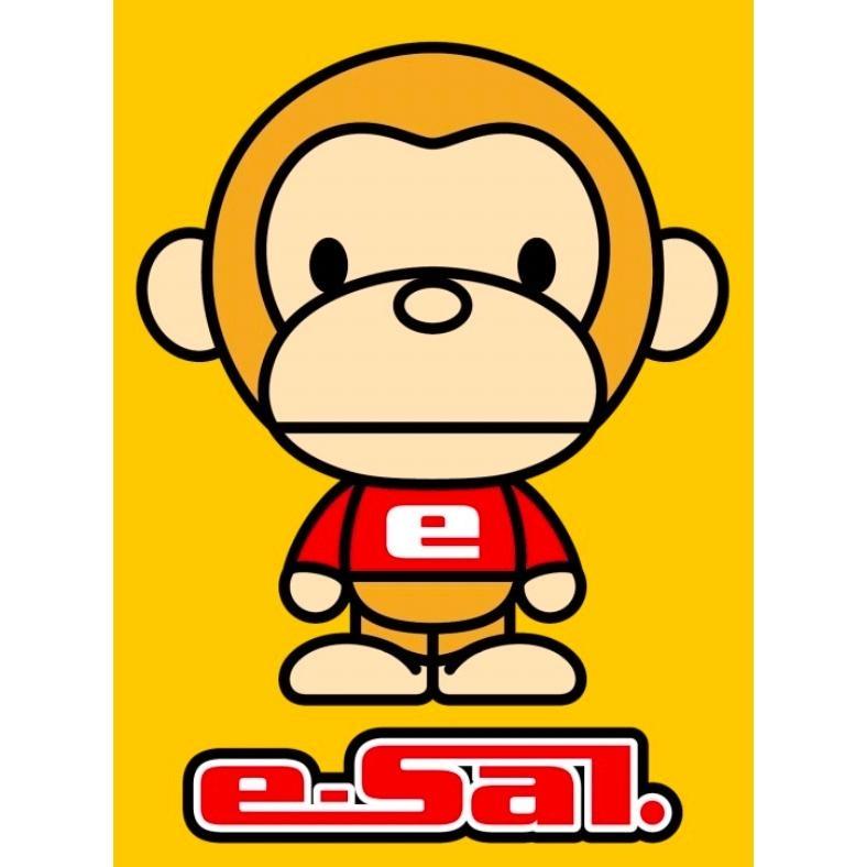 e-Sal 及圖