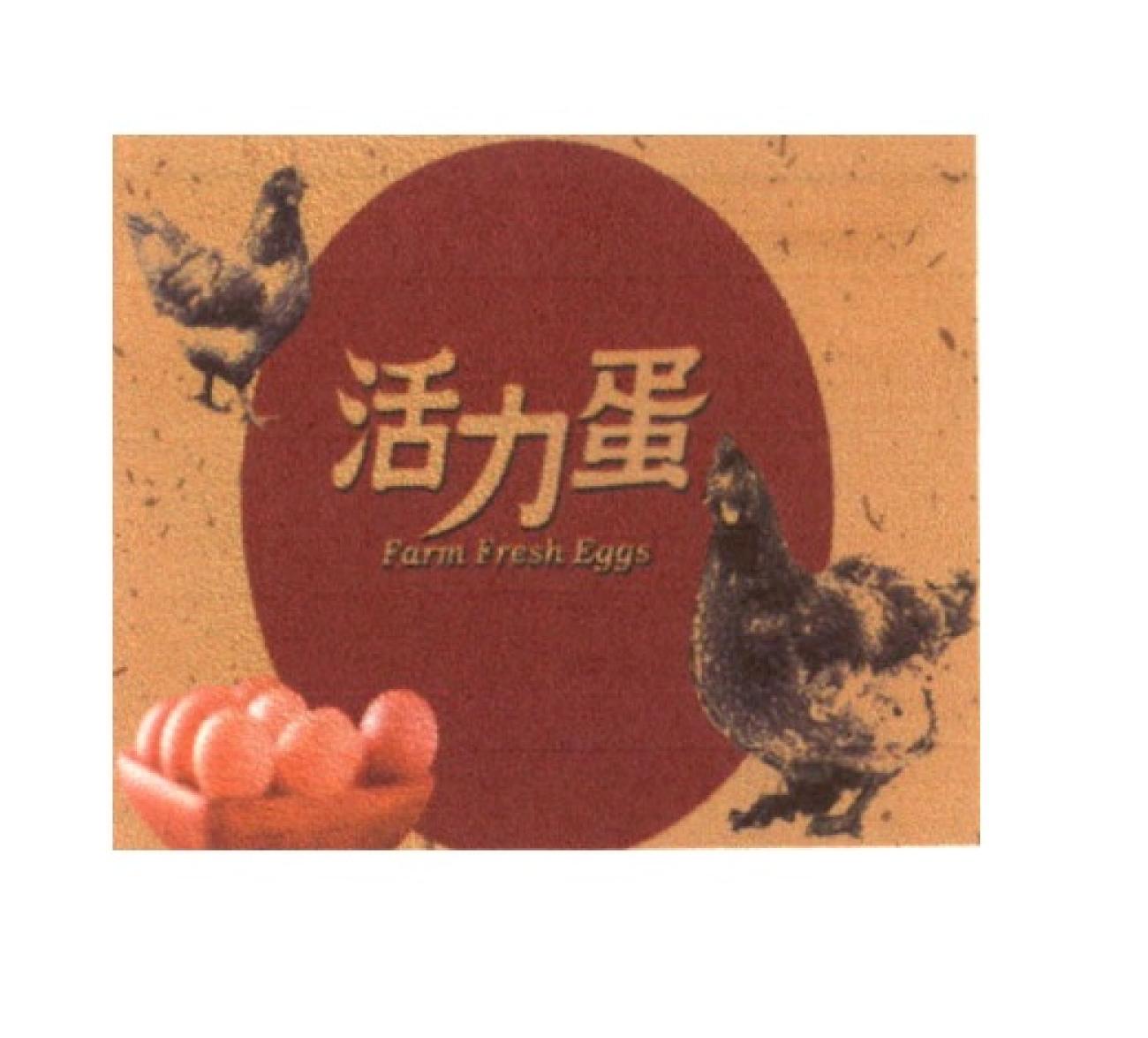 活力蛋 Farm Fresh Eggs 及圖