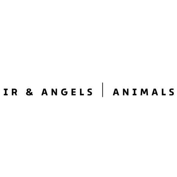 IR & ANGELS | ANIMALS