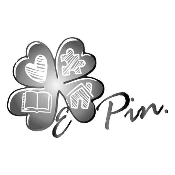 E pin及圖