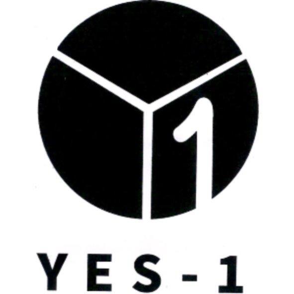 YES-1 及圖