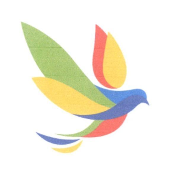 一隻彩色鳥展翅飛翔圖