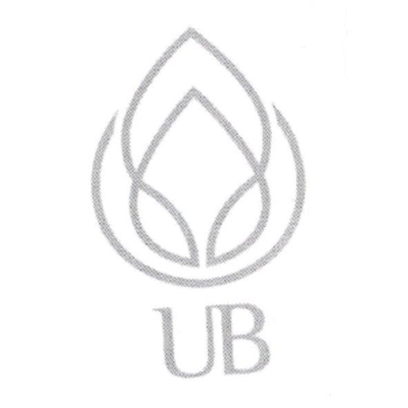 UB 及圖