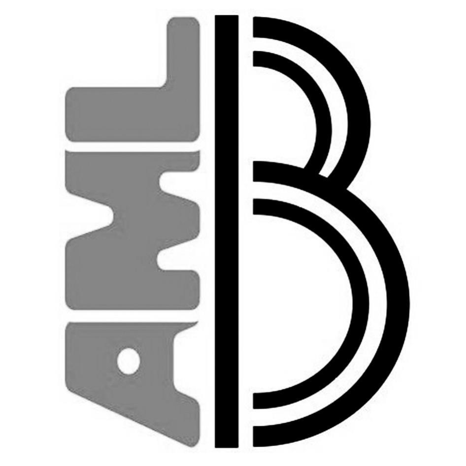 AML及B設計圖