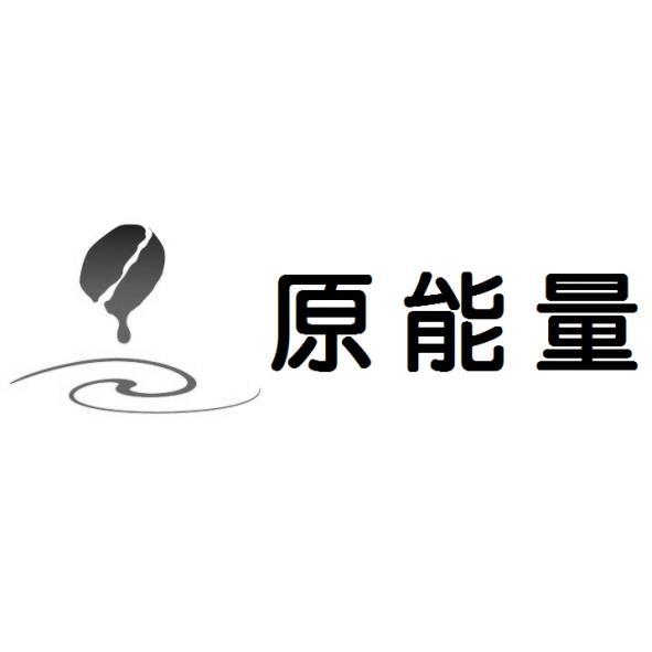 原能量及設計圖