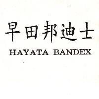 早田邦迪士HAYATA BANDEX