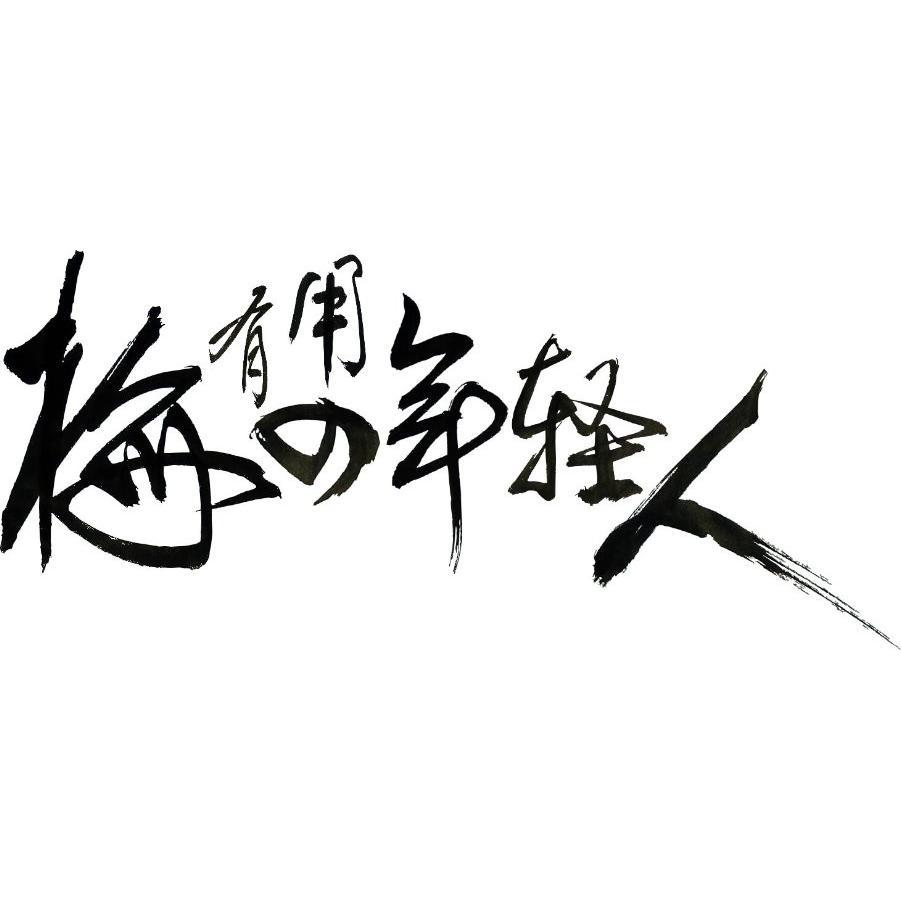 梅有用の年輕人