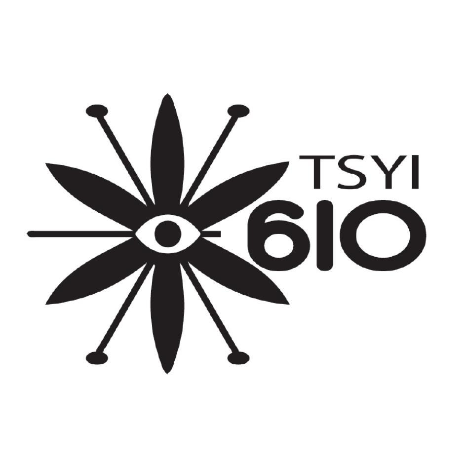 TSYI 610 及圖