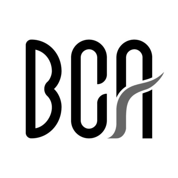 BCA設計字