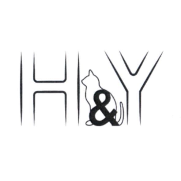 H&Y 及圖