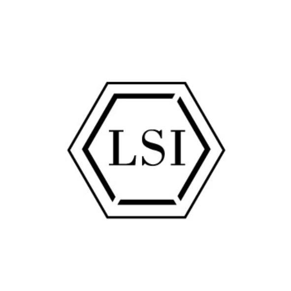 LSI及圖