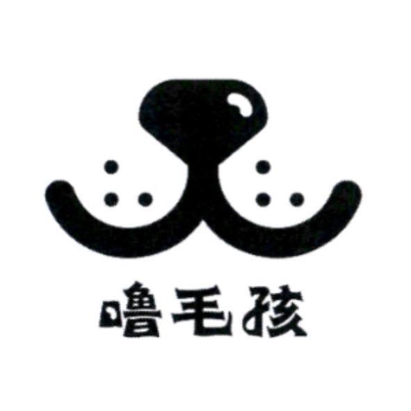 嚕毛孩及圖
