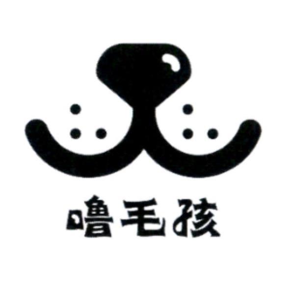 嚕毛孩及圖