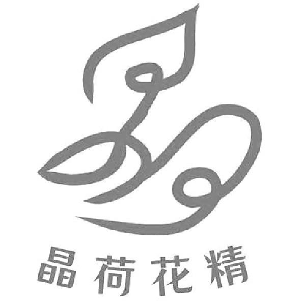 晶荷花精及圖