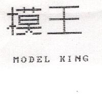 模王 MODEL KING