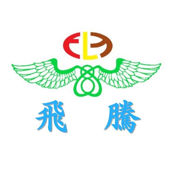 飛騰、FLY字及圖