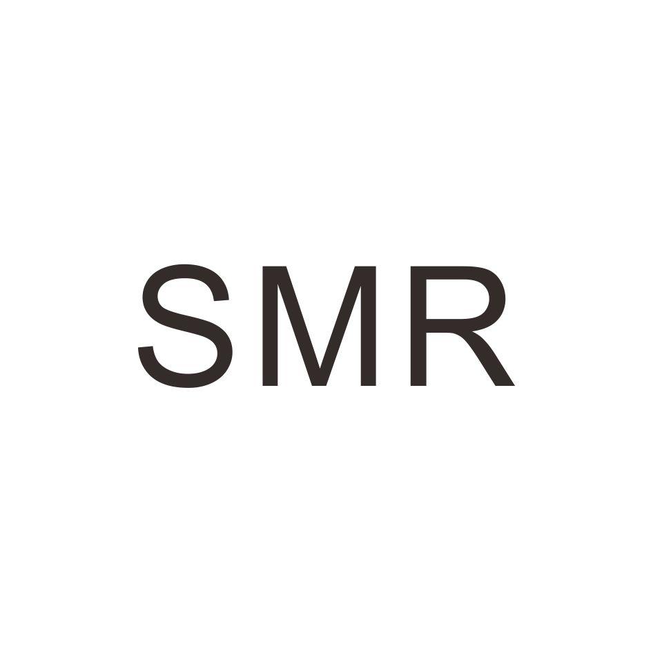 法博智能移動股份有限公司 SMR