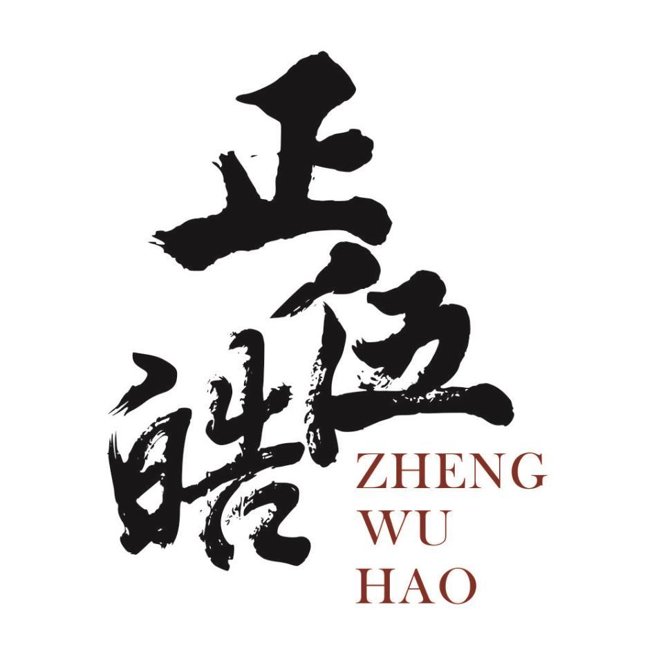 正伍皓ZHENG WU HAO