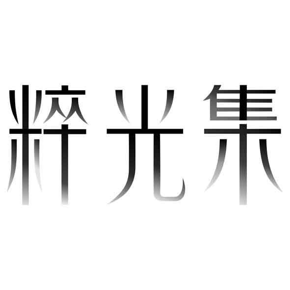 粹光集設計字