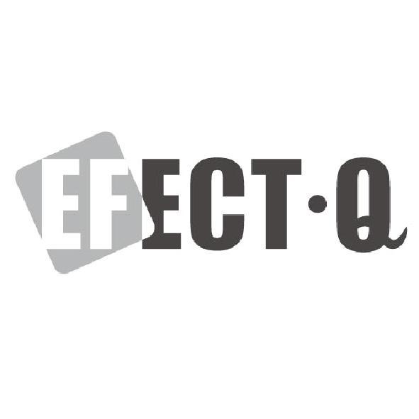 EFECT-Q設計圖
