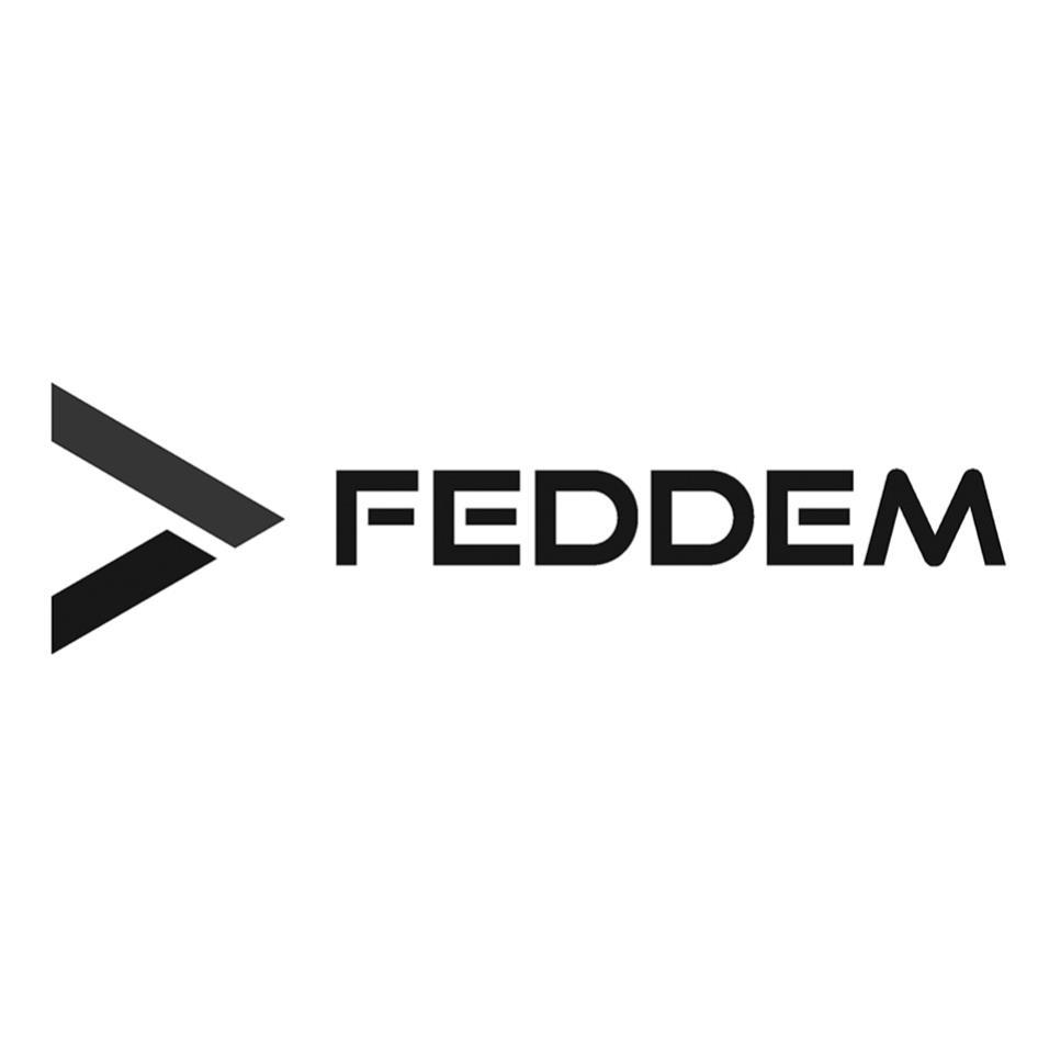 FEDDEM及圖