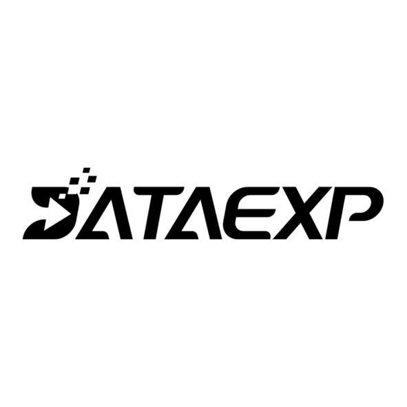 DATAEXP設計字