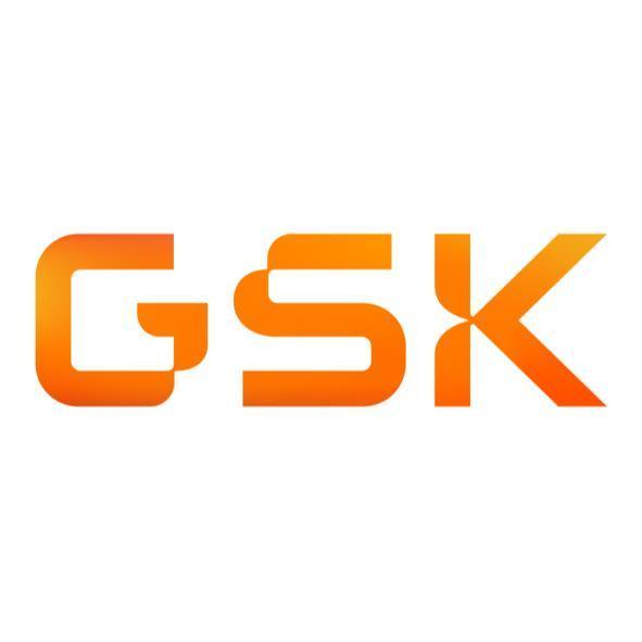 GSK (stylised) (orange gradient)