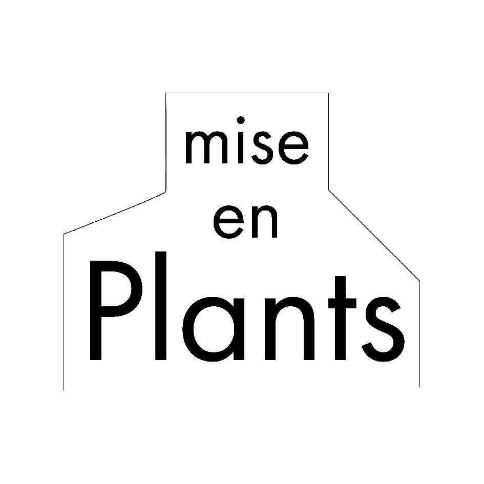 mise en Plants及圖