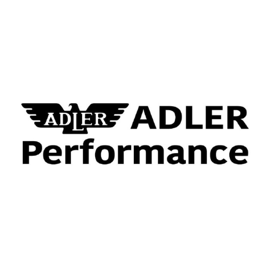 ADLER Performance 及圖 (1)