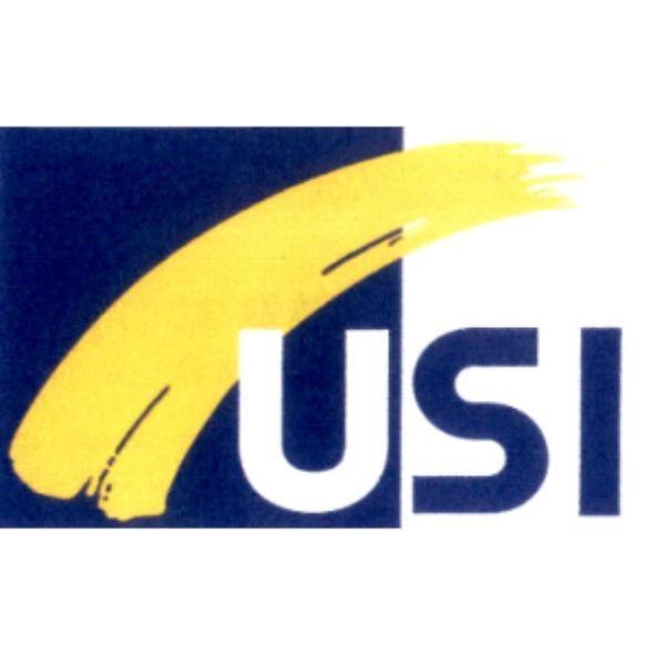 USI 及圖