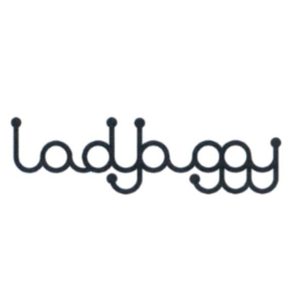 ladybuggy設計字