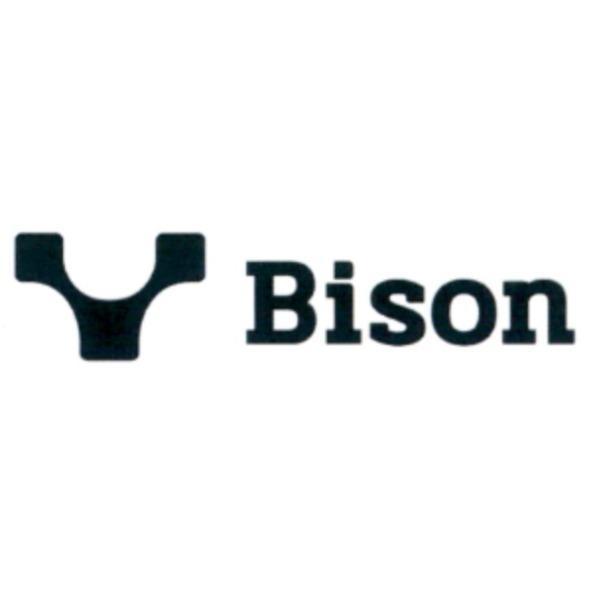 BISON 及圖