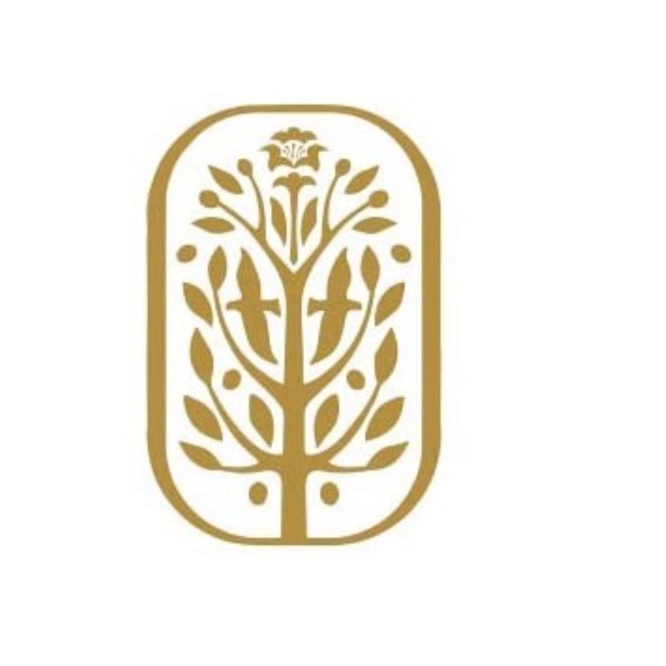 設計圖