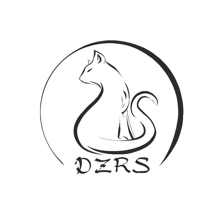 DZRS及圖