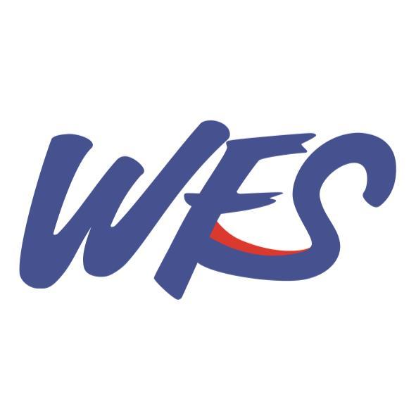 WFS 設計字