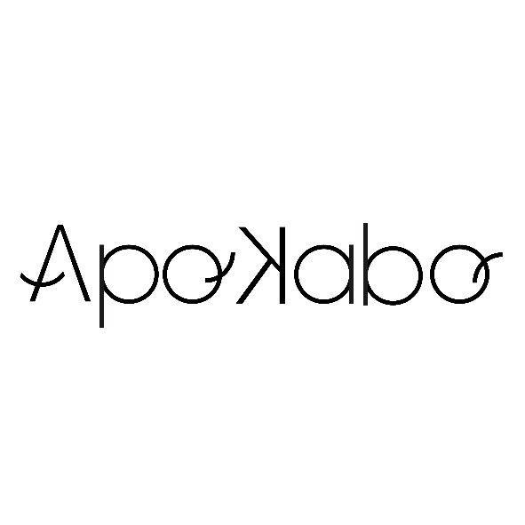 APA KABA設計字