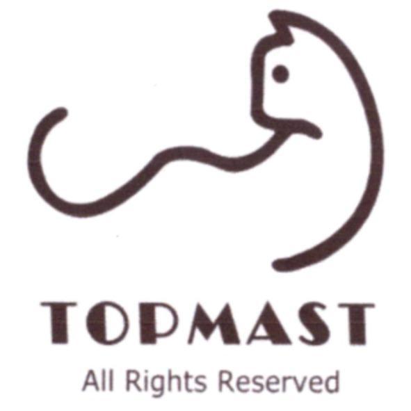 TOPMAST All Rights Reserved 及圖