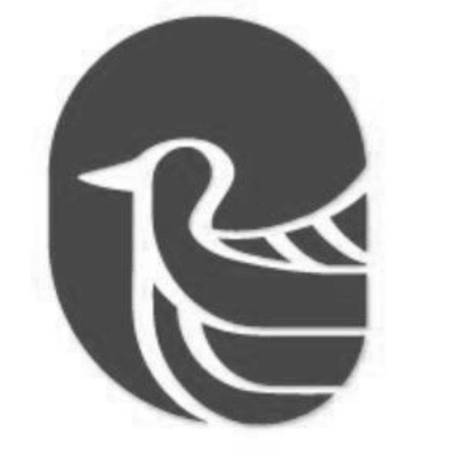 鴨設計圖