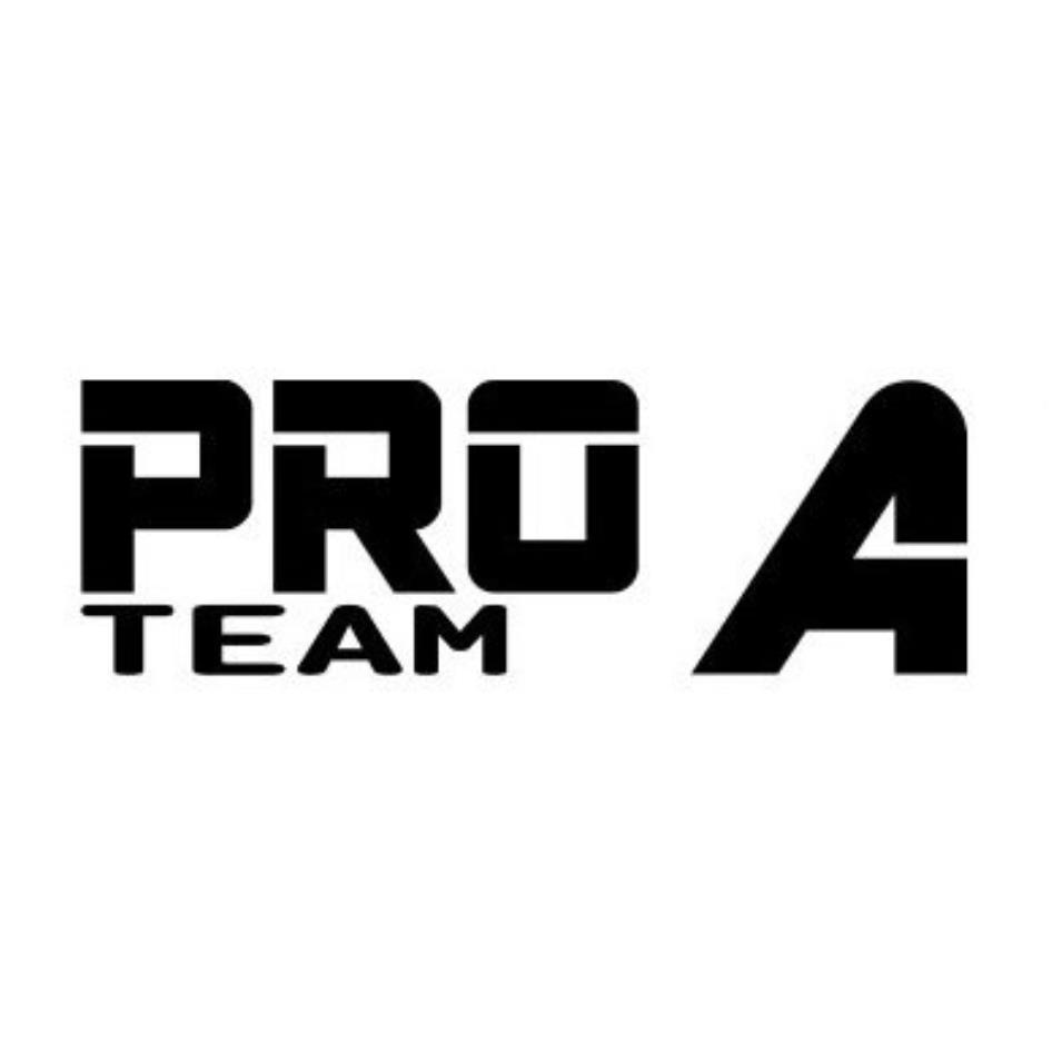 PRO TEAM A 設計字