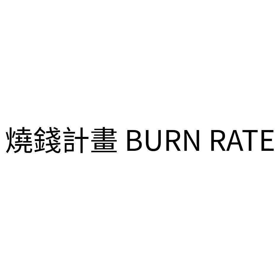 燒錢計畫 BURN RATE