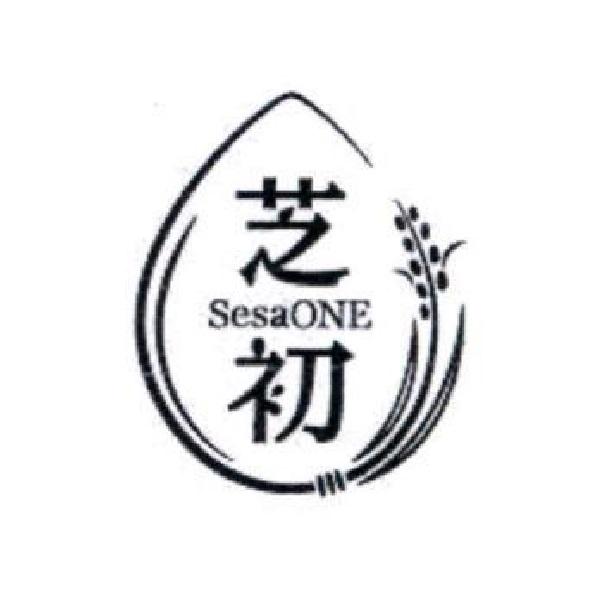 芝初 SesaOne 及圖