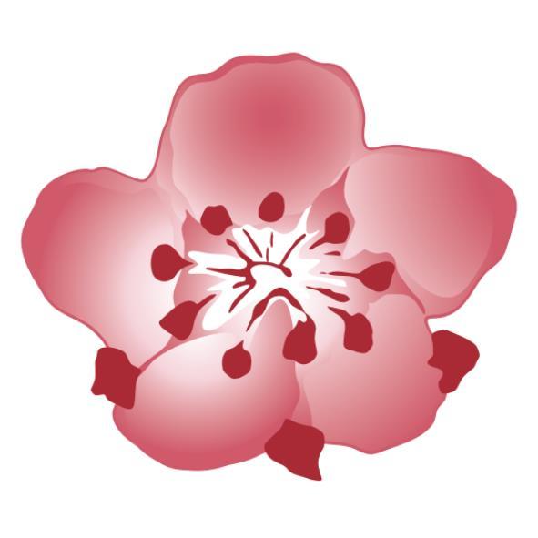 梅花 設計圖二(彩色)