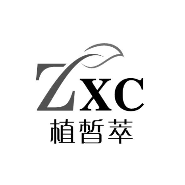 植皙萃ZXC及圖