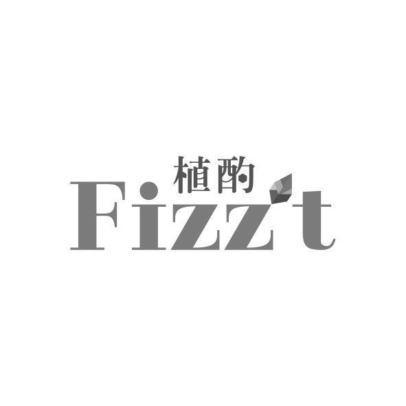 植酌設計字 Fizzt及圖