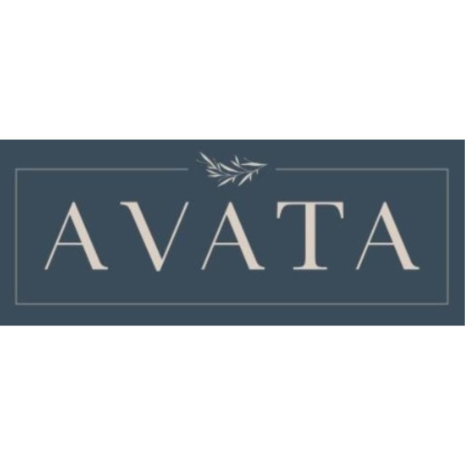 AVATA及圖