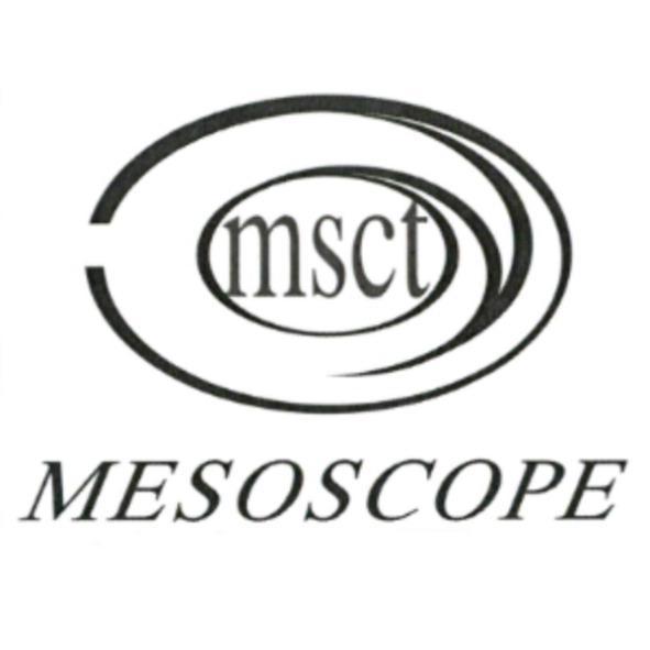 MSCT MESOSCOPE 及圖