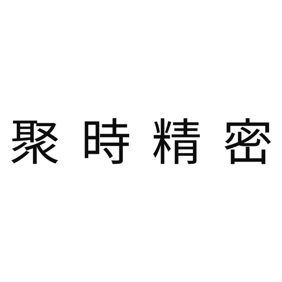 聚時精密